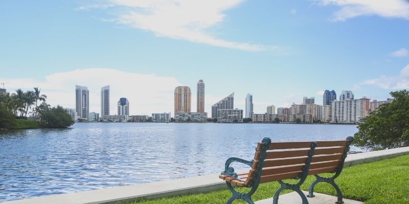 Rug cleaning in Aventura, FL